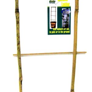 Bamboo Ladder