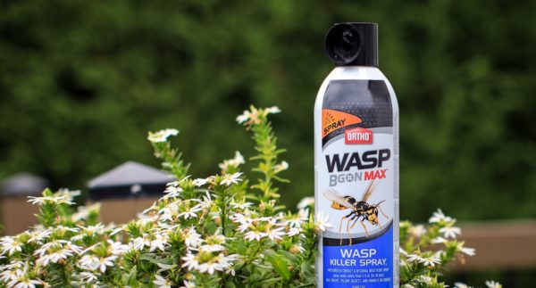 Ortho Wasp B Gon Killer Spray