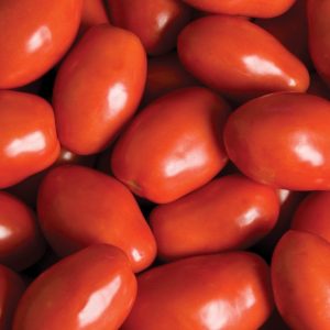 6" Tomato Heirloom - San Marzano ONLY AVAILABLE IN STORE