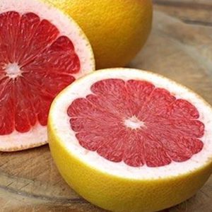 Ruby Red Grapefruit Citrus 1 Gallon ONLY AVAILABLE IN STORE