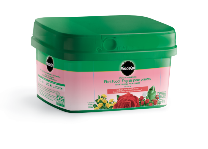 Miracle Gro Water Soluble Rose Plant Food 18-24-16 (500g)