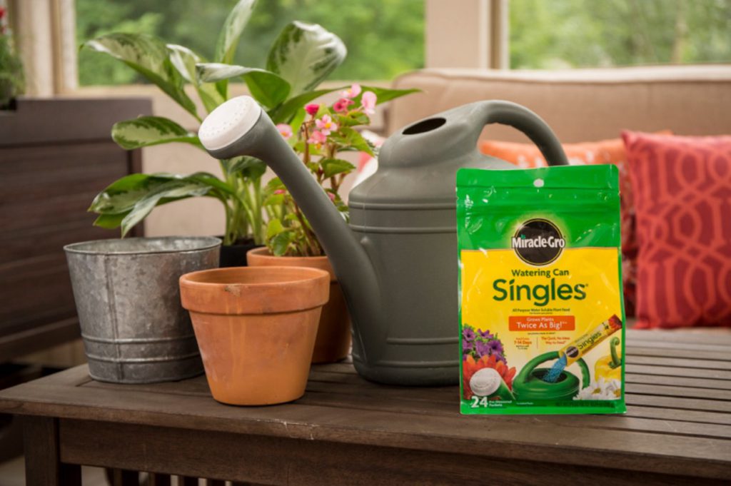 Miracle Gro Watering Can Singles 24-8-16 Lifestyle 1