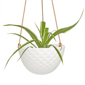 mini mofo hanging indoor pot