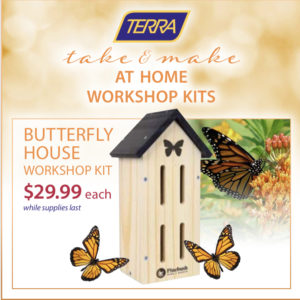 Butterfly house DIY