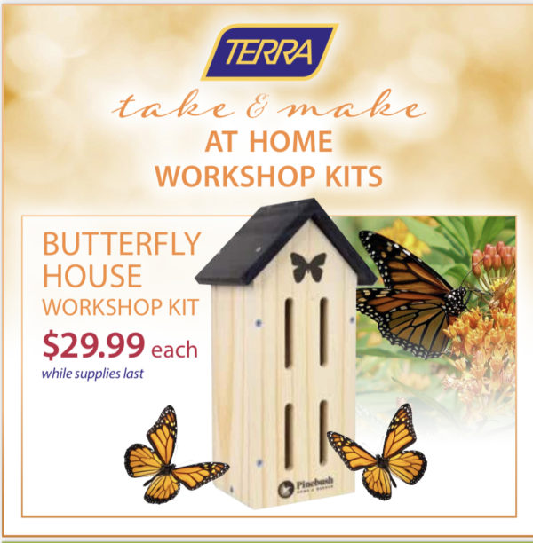 Butterfly house DIY