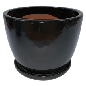 egg pot with attached saucer black
