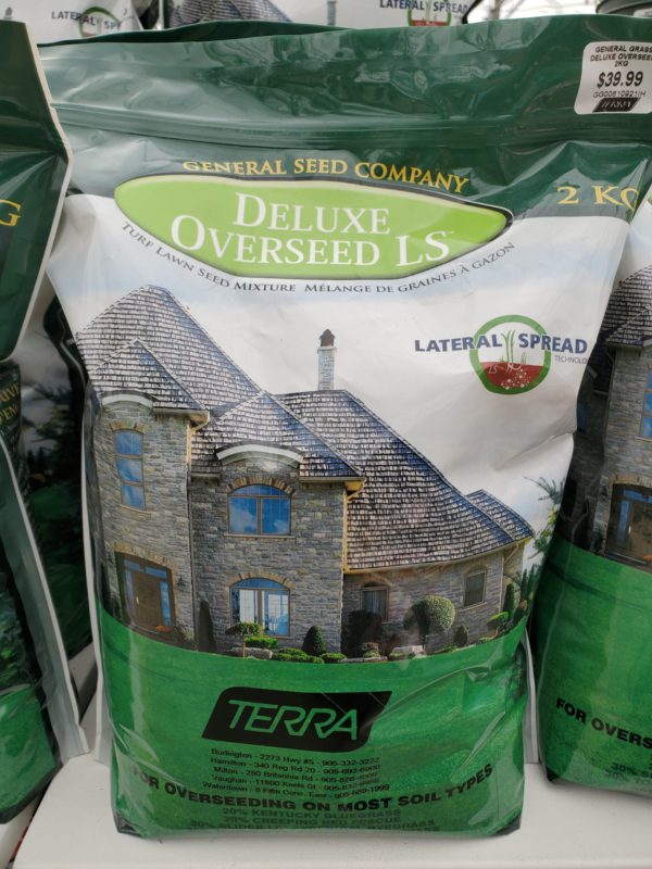 Deluxe Overseed Lawn Seed 2kg