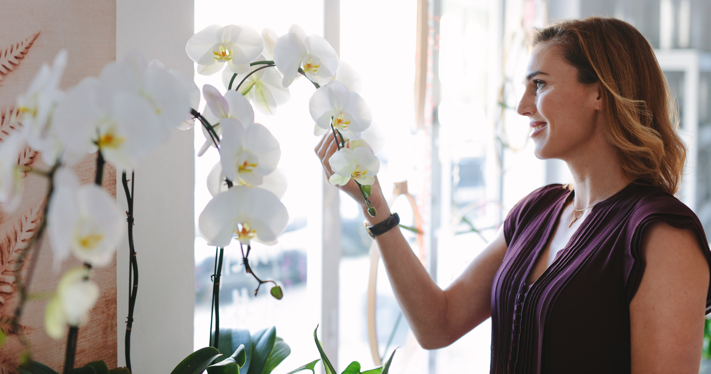 How To Grow Orchids At Home