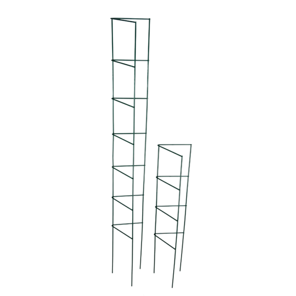 TC33LAD Plant Support Growing Ladder